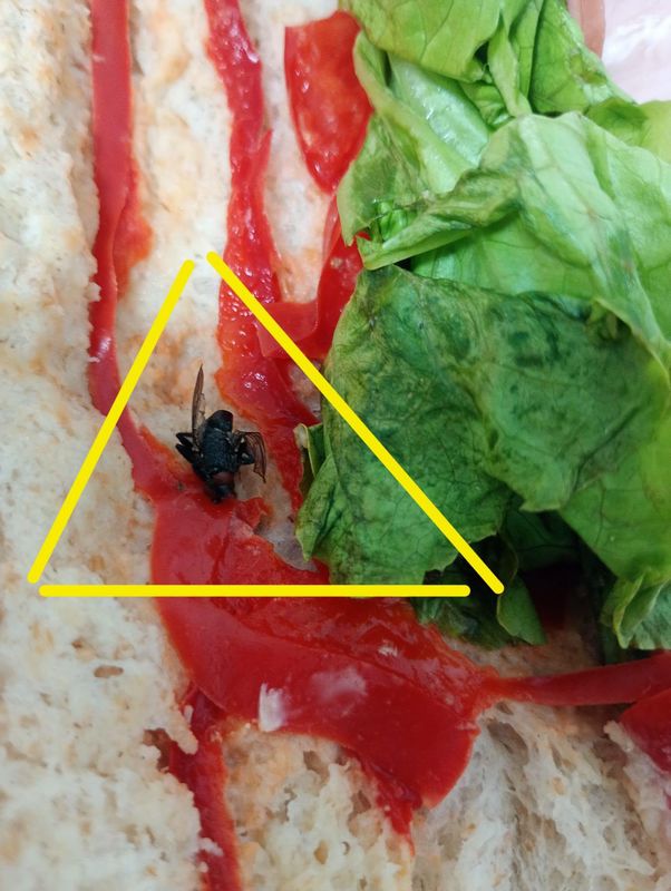 Șocant! Insecte, varză mucegăită și melci în pachetul elevilor de la Piatra Șoimului