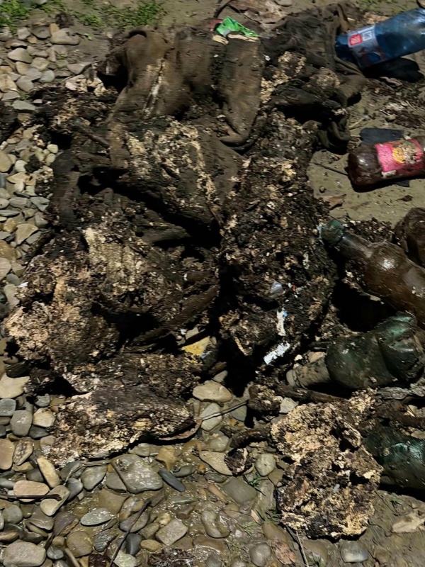 FOTO. Cadavru uman descoperit într-o fântână din Timișești