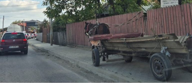 Fotografia zilei. Târgu-Neamț, orașul cu trotuare pentru… copite Cal pe căruță pe trotuar în Târgu-Neamț, România.