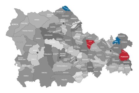 Harta județului Neamț evidențiind UAT-urile mici în roz și albastru.