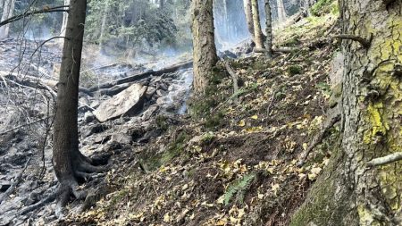 Incendiul din Masivul Ceahlău continuă: 350 m de pădure afectate, forțe importante de intervenție în masiv! Incendiul din Masivul Ceahlău continuă: 350 m de pădure afectate, forțe importante de intervenție în masiv!