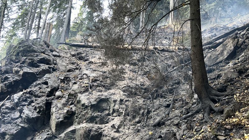 Incendiul din Masivul Ceahlău continuă: 350 m de pădure afectate, forțe importante de intervenție în masiv!