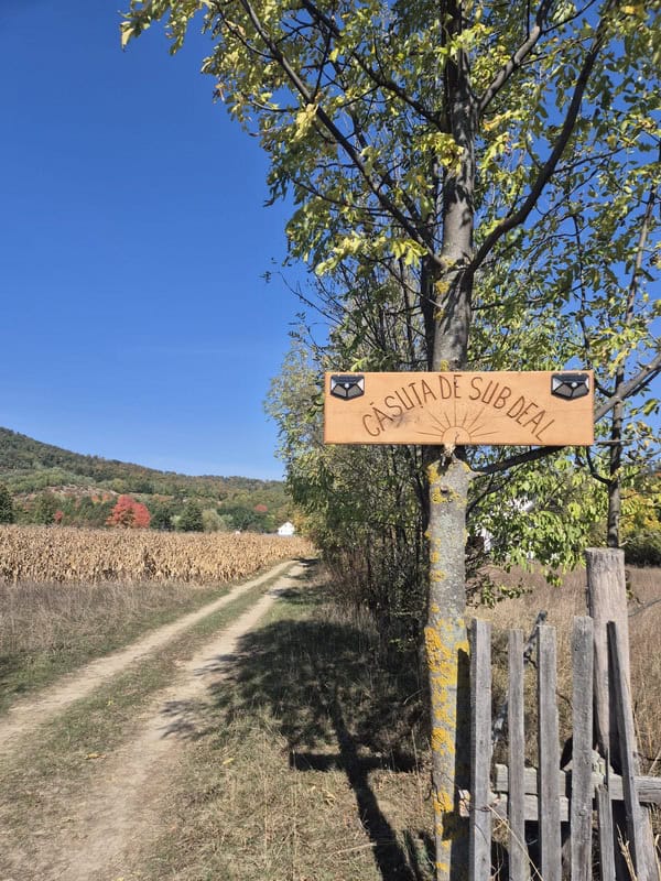 De la salonul de înfrumusețare la „Căsuța de sub deal”: povestea familiei Calistru, care construiește cu suflet la Târgu-Neamț și în Lunca