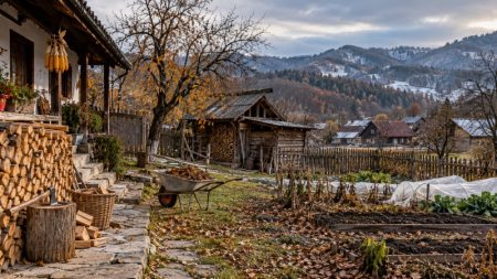 Gospodăria de iarnă în satele din Neamț: ce lucrări merită făcute înainte de primele ninsori