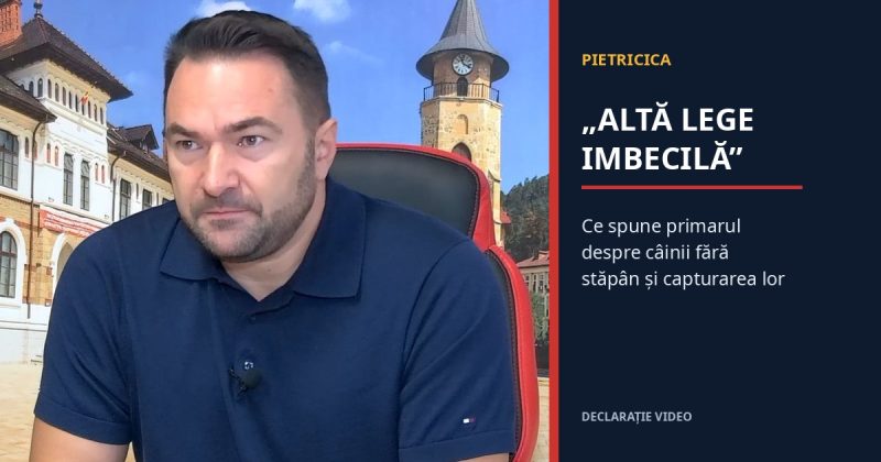 „Altă lege imbecilă”. Primarul Adrian Niță nemulțumit de regulile privind câinii fără stăpân