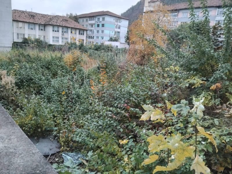 FOTO. Primăria Piatra-Neamț joacă din nou pe piața imobiliară: cumpără de la RIFIL un sediu și o parcare cu peste 1,1 milioane de euro