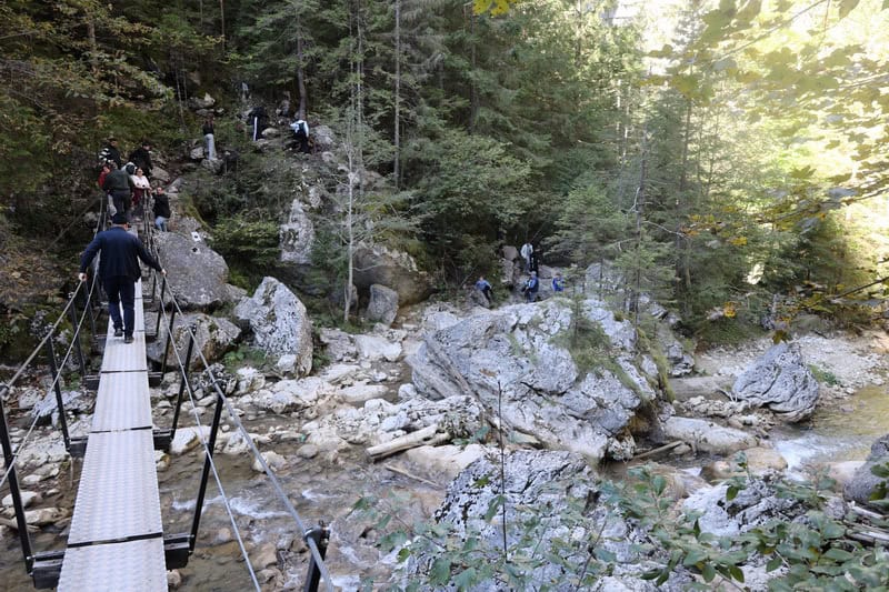 Ranger Junior Jurnalism în munții Neamțului - un proiect inedit