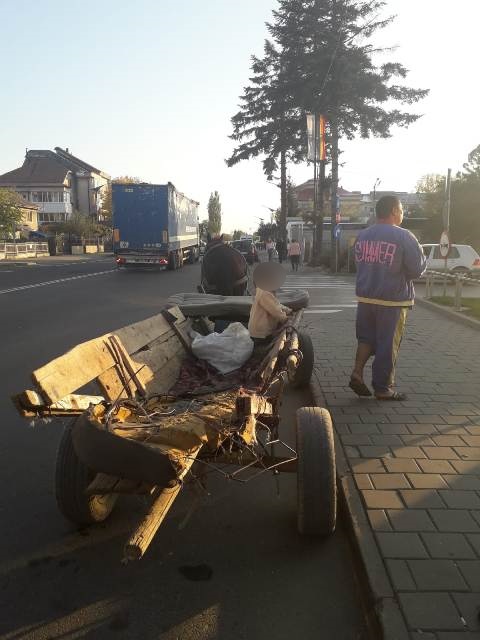 Reguli noi în Târgu-Neamț, pentru căruțe