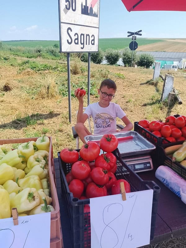 Ogorul soarelui din Sagna. Istoria legumelor faimoase ale soților Bordea!