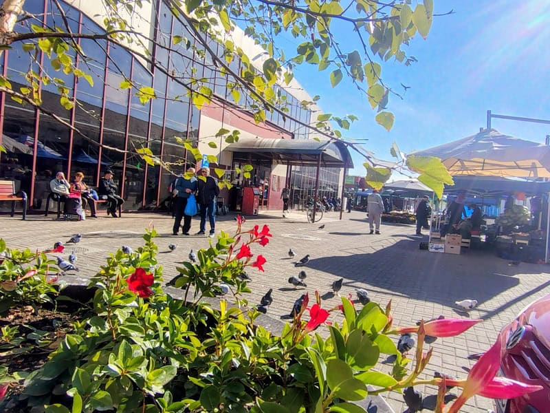 CMI Urban: Invitație la Piața Centrală “Sf. Gheorghe” și la Piața “Bistrița” Precista - roade bogate de pus în cămările iernii!