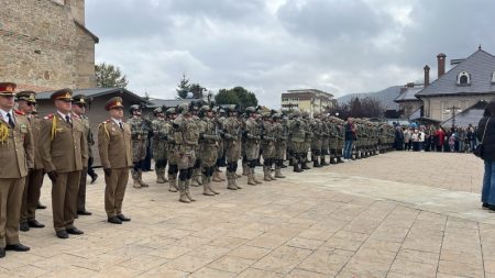 Soldați în uniformă de camuflaj în linie la sărbătoare militară la Piatra Neamț.