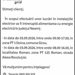 Anunturi DELGAZ GRID 8 Anunturi DELGAZ GRID