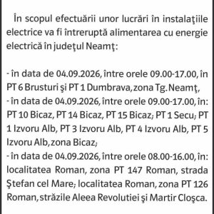 Anunturi DELGAZ GRID 6 Anunturi DELGAZ GRID