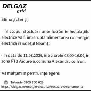 3081256201