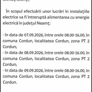 Anunturi DELGAZ GRID 4 Anunturi DELGAZ GRID