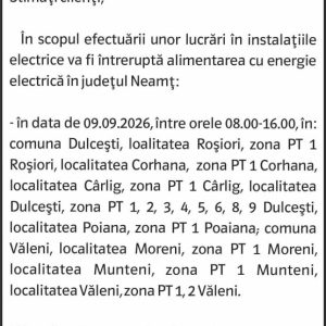 Anunturi DELGAZ GRID 1 Anunturi DELGAZ GRID
