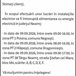 Anunturi DELGAZ GRID 2 Anunturi DELGAZ GRID
