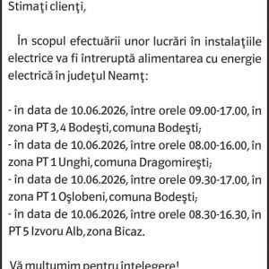 Anunturi DELGAZ GRID 17 2505251016