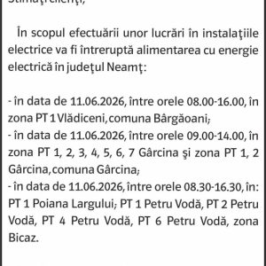 Anunturi DELGAZ GRID 15 546879895