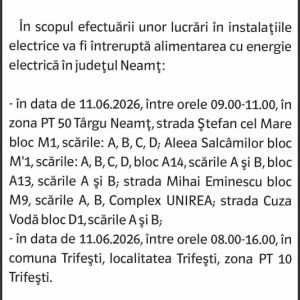 Anunturi DELGAZ GRID 16 10443932