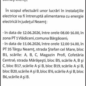 Anunturi DELGAZ GRID 13 244857084