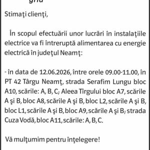 Anunturi DELGAZ GRID 12 193155864
