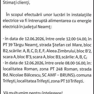 Anunturi DELGAZ GRID 14 1349933212