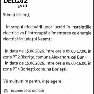Anunturi DELGAZ GRID 11 1675285525