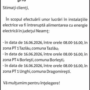 Anunturi DELGAZ GRID 9 1277458677