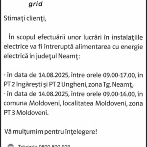 2519575435