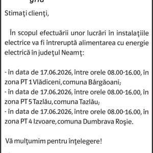 Anunturi DELGAZ GRID 7 2323194717