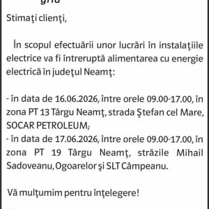 Anunturi DELGAZ GRID 8 3627814233