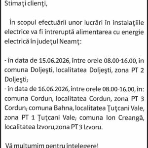 Anunturi DELGAZ GRID 10 2049088341