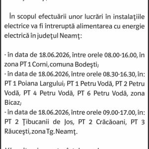 Anunturi DELGAZ GRID 6 2663968476