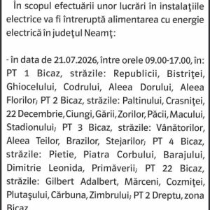 Anunturi DELGAZ GRID 2 2044841811