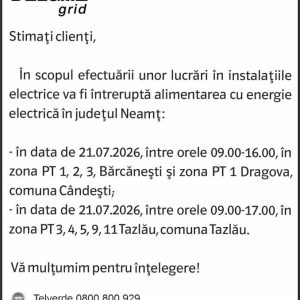 Anunturi DELGAZ GRID 3 2096800951