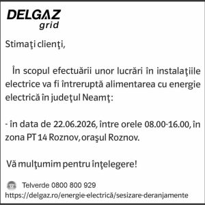 Anunturi DELGAZ GRID 5 721683787