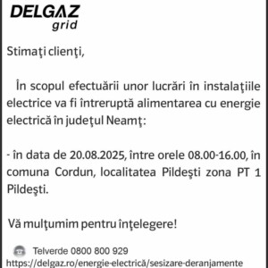 3107206778