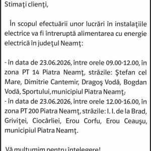 Anunturi DELGAZ GRID 4 274984303