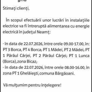 Anunturi DELGAZ GRID 1 3227218971