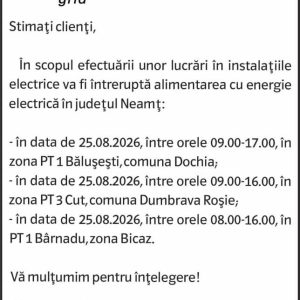Anunturi DELGAZ GRID 20 Anunturi DELGAZ GRID
