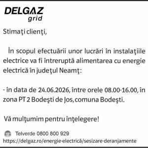 Anunturi DELGAZ GRID 3 333528294