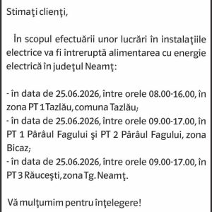 Anunturi DELGAZ GRID 2 2695709959