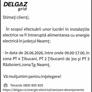Anunturi DELGAZ GRID 1 408050589