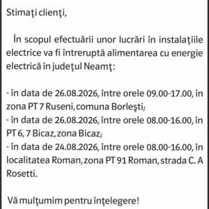 Anunturi DELGAZ GRID 19 Anunturi DELGAZ GRID