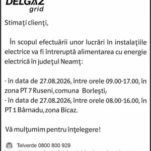 Anunturi DELGAZ GRID 18 Anunturi DELGAZ GRID
