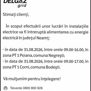 Anunturi DELGAZ GRID 16 Anunturi DELGAZ GRID