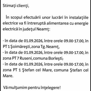 Anunturi DELGAZ GRID 12 Anunturi DELGAZ GRID