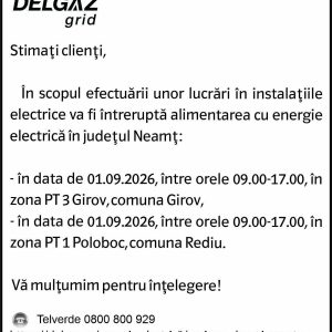 Anunturi DELGAZ GRID 13 Anunturi DELGAZ GRID