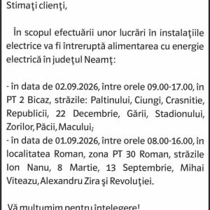 Anunturi DELGAZ GRID 10 Anunturi DELGAZ GRID